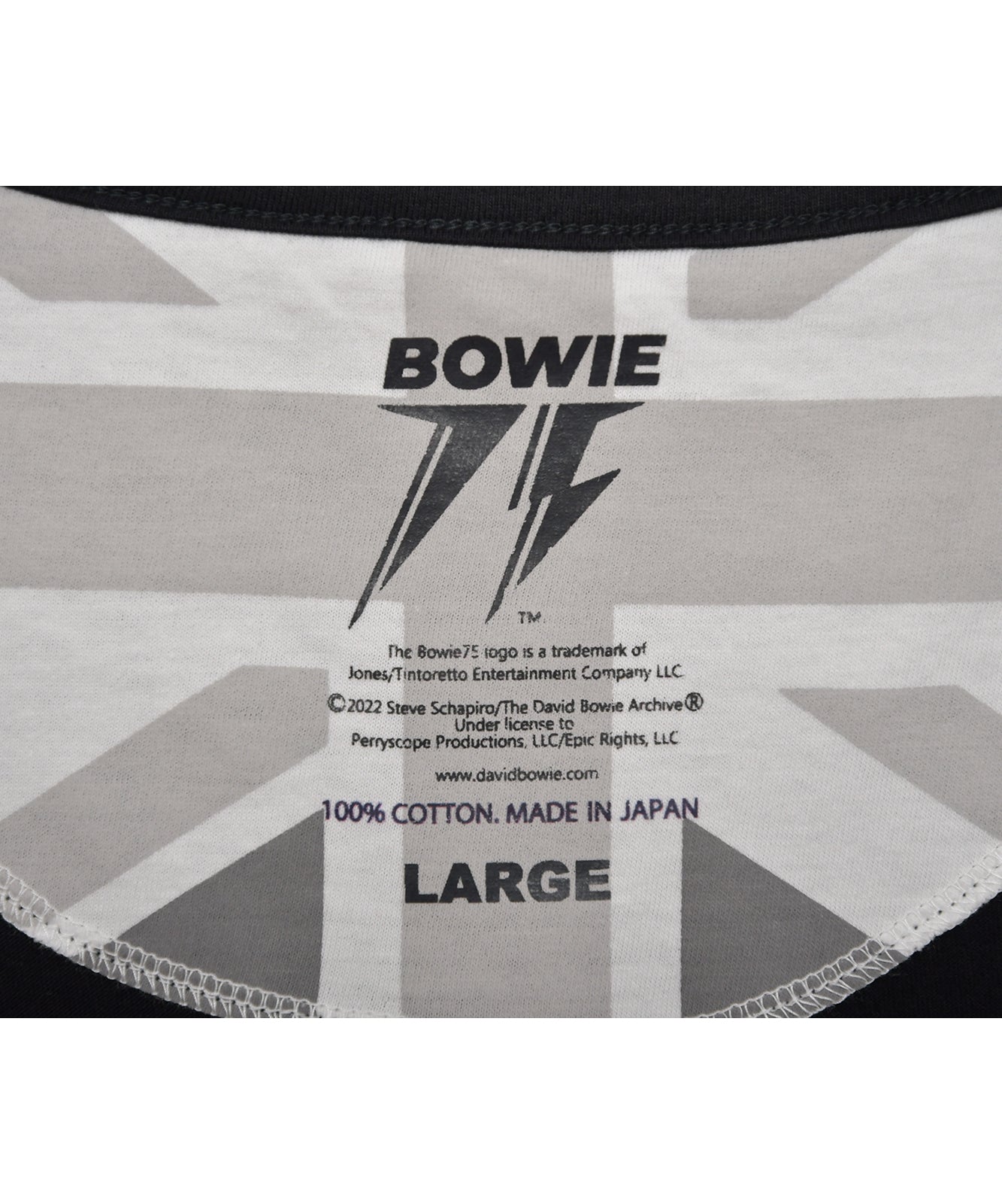 DAVID BOWIE 5
