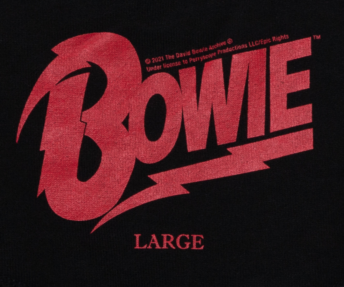 DAVID BOWIE Sweat Hoodie